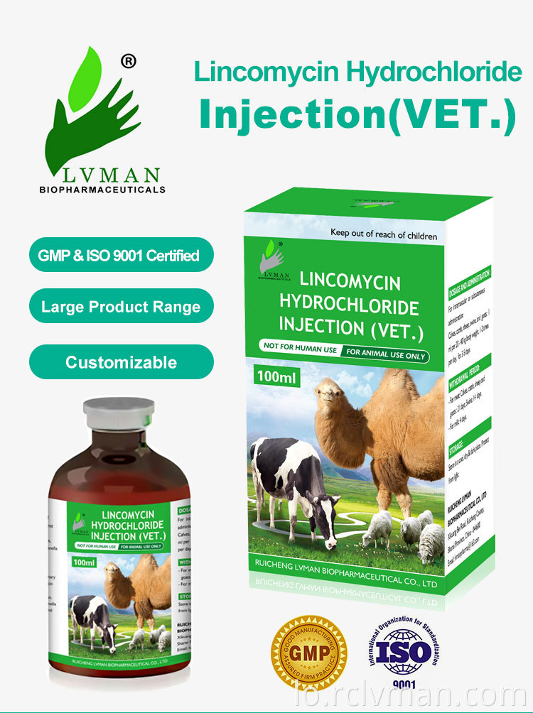 ການສັກຢາ Hydrochloride Lincomycin 01 Lincomycin Hydrochloride Injection 01